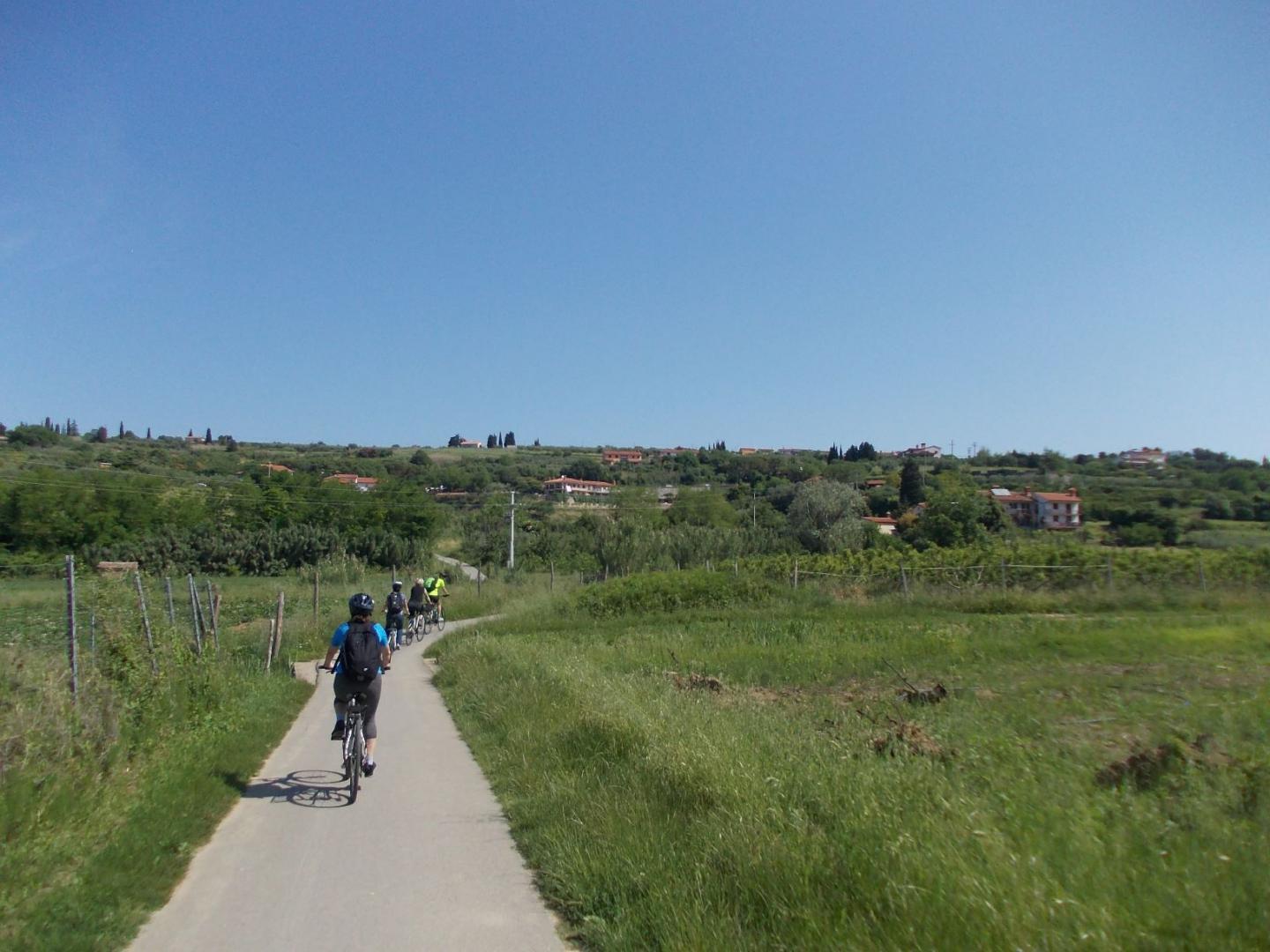 Udeleženci med kolesarjenjem na teambuilding programu Parenzana