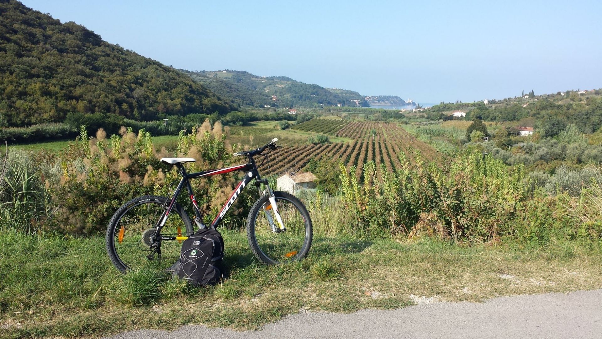 View from Parenzana road