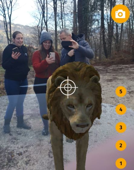 Teambuildign program Safari