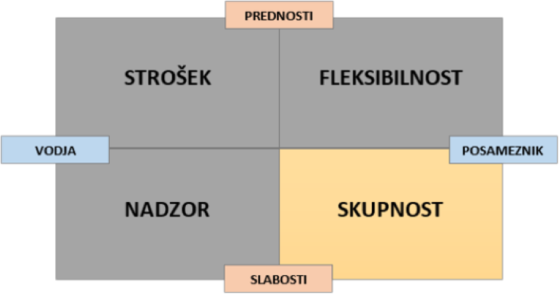 delo na daljavo